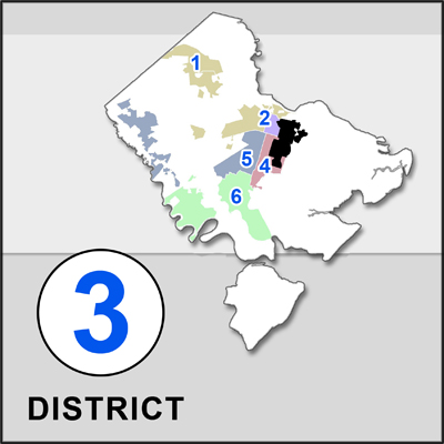 city council district map savannah